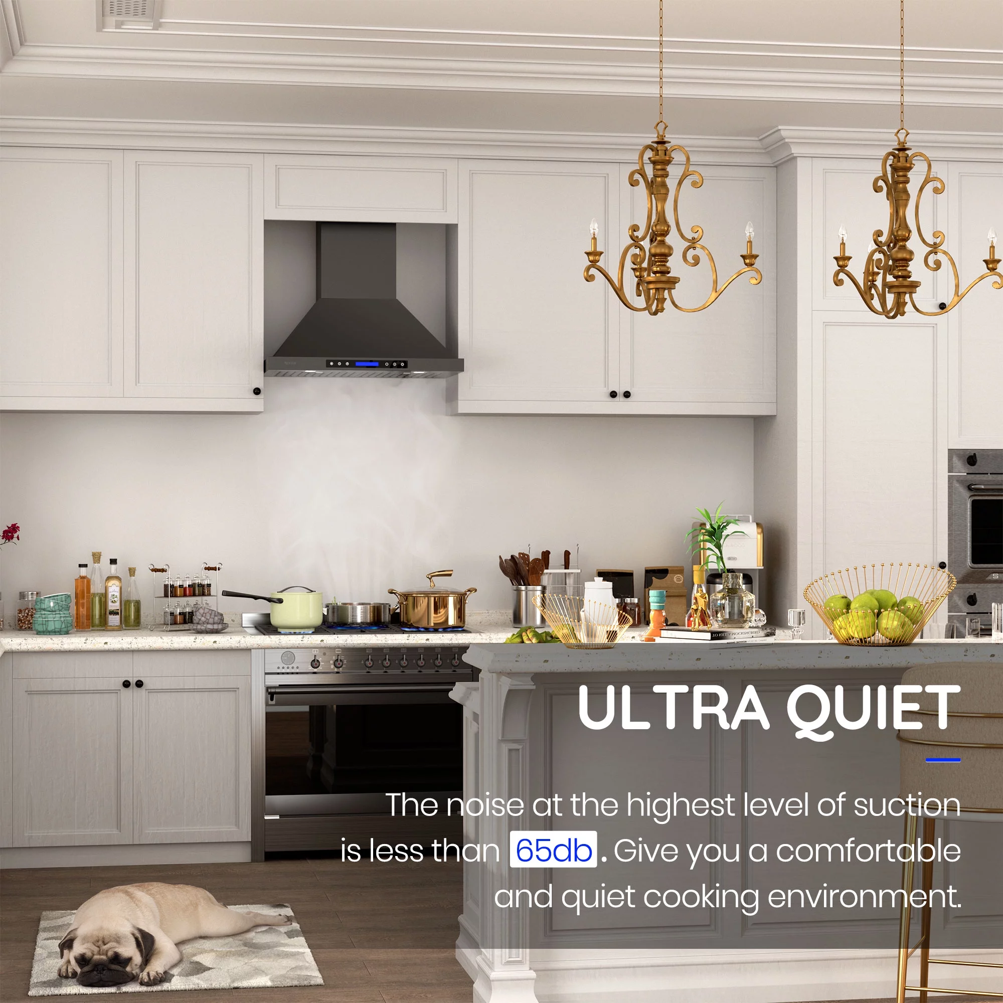 EKON Kitchen Expert 30 inch 900 CFM Convertible Black Stainless Steel Wall Mount Range Hood