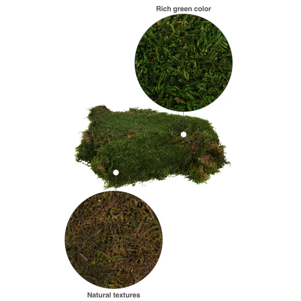 Vickerman 1.1 Lbs Bag of Green Sheet Moss, Preserved