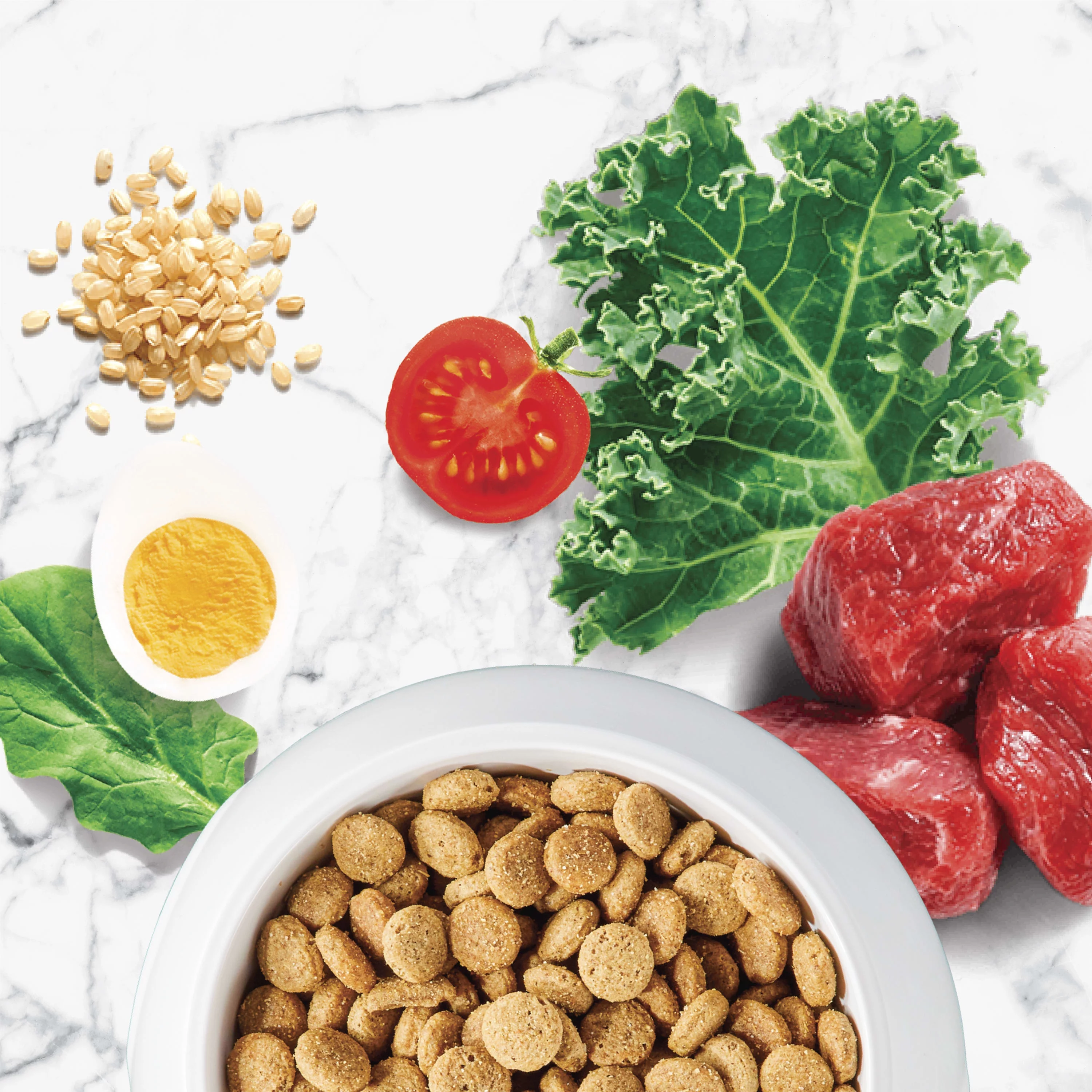 NUTRO NATURAL CHOICE Lamb & Brown Rice Recipe, Large Breed Adult Dry Dog Food, Dog Kibble, 20 lb. Bag