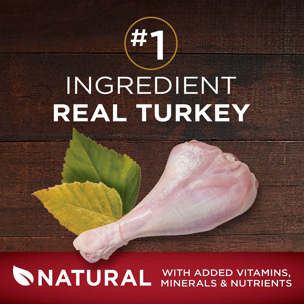 Purina ONE SmartBlend True Instinct Adult Natural Turkey and Venison Recipe Dry Dog Food