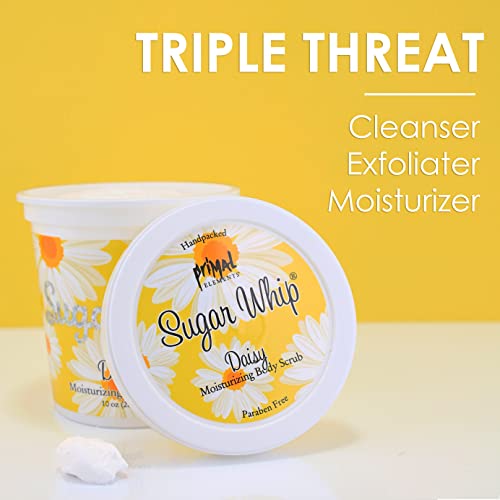 Primal Elements Sugar Scrub, Exfoliating Sugar Whip, Face and Body Cleanser, Moisturizer, Gingerbread, 10 oz Package