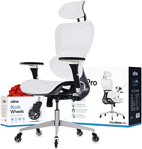 Oline ErgoPro Ergonomic Office Chair, Rolling Desk Chair with 4D Adjustable Armrest, 3D Lumbar Support, Blade Wheels, Mesh Computer Gaming Executive Swivel Chairs Chair (Black)