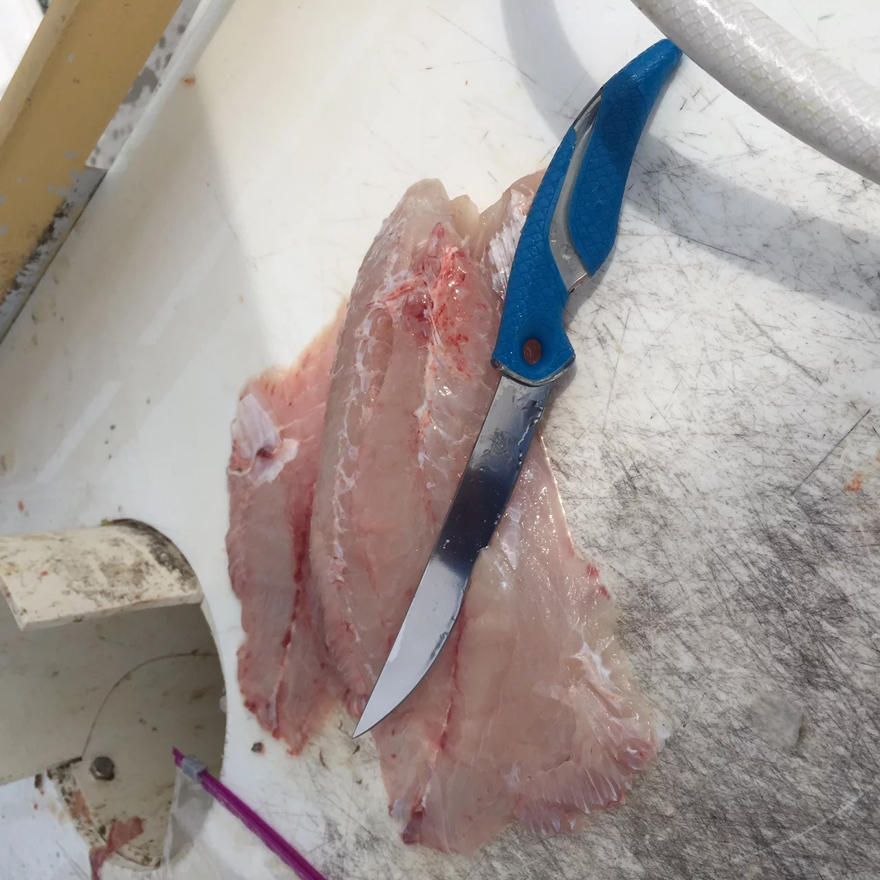 Cuda Titanium Bonded Wide Fish Fillet Knife, 7