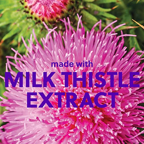 Tree Hut Cotton Candy Shea Sugar Scrub, 510 Grams