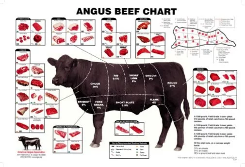 (27 x 40) Angus Beef Chart Meat Cuts Diagram Poster
