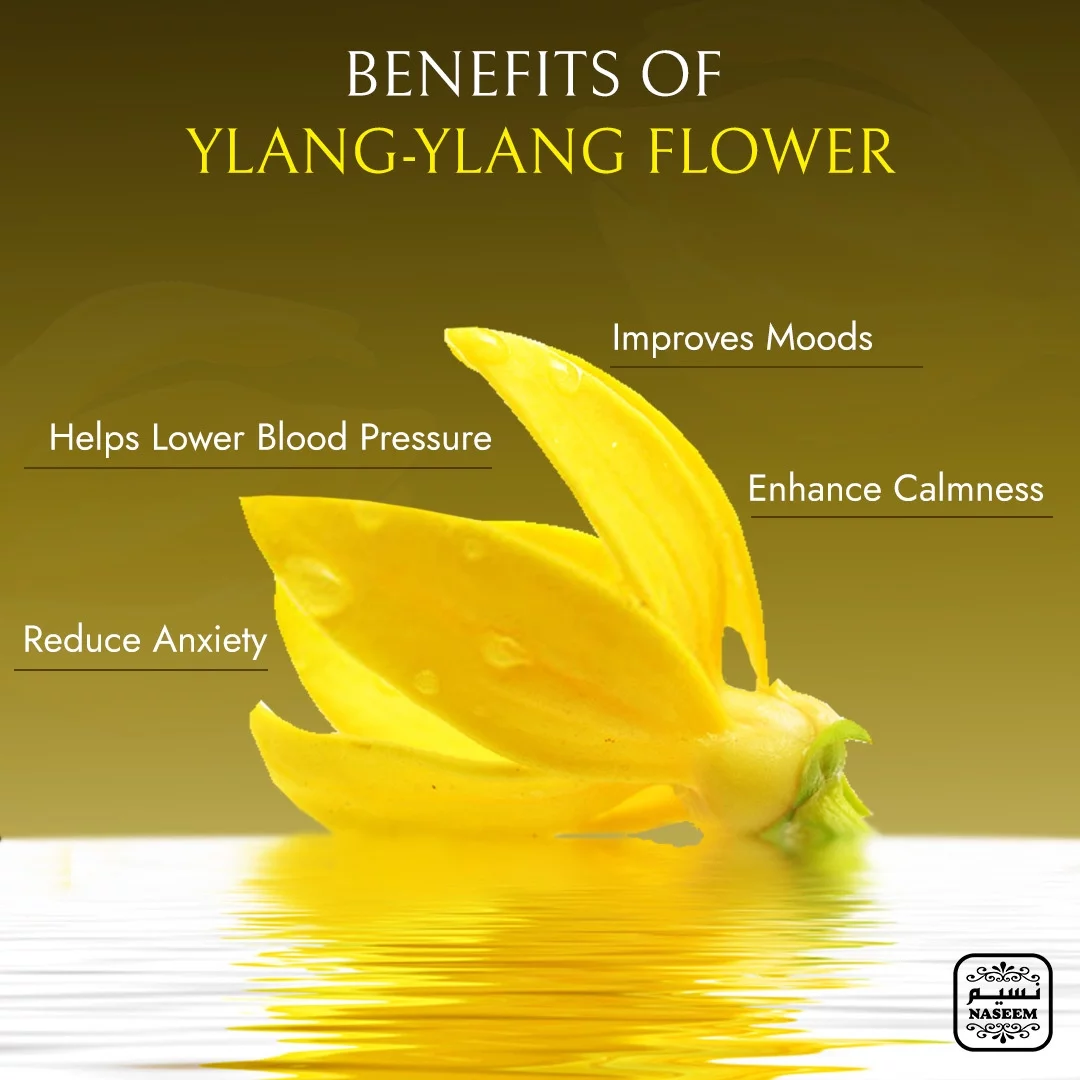 Mufaddal Aqua Perfume Arabic Non Alcoholic Bergamot Leather Musk Men Parfum by Naseem