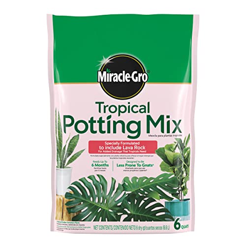 Miracle-Gro Tropical Potting Mix, For Container Plants, Use with Snake Plants, Spider Plants, Pothos, Monstera, 6 qt., 3-Pack