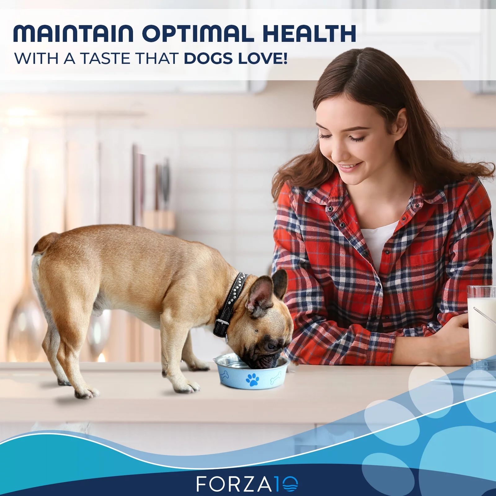 Forza10 Wet Dog Food Hypo Lamb 12 pack