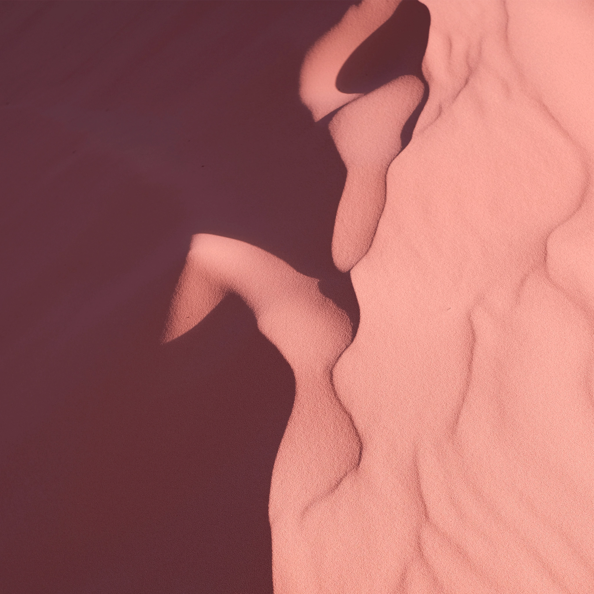 DESERT BLUSH Perfume, Eau de Parfum Rollerball 0.25 fl oz