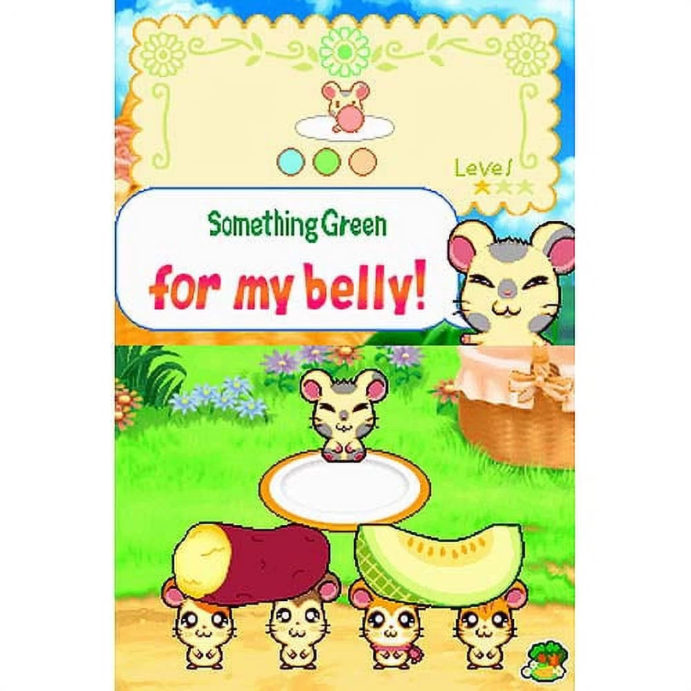 Hi Hamtaro Ham Ham Challenge NDS