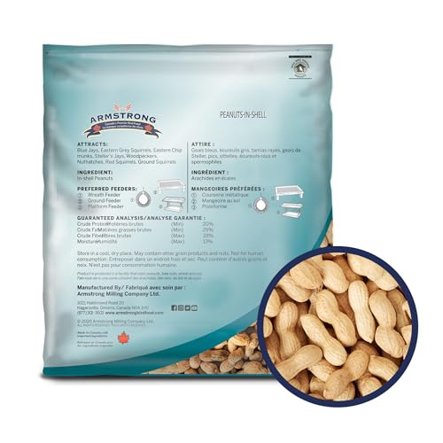 Peanuts-in-Shell, 10 Pounds - for Blue Jays, Eastern Grey Squirrels and Eastern Chipmunks for Outside Feeders
