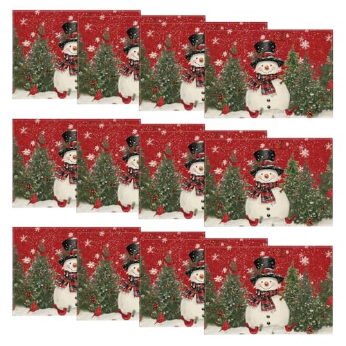 Artoid Mode Snowman Cardinals Trees Christmas Placemats for Dining Table, 12 x 18 Inch Seasonal Winter Birds Xmas Holiday Rustic Vintage Thanksgiving Washable Table Mats Set of 4