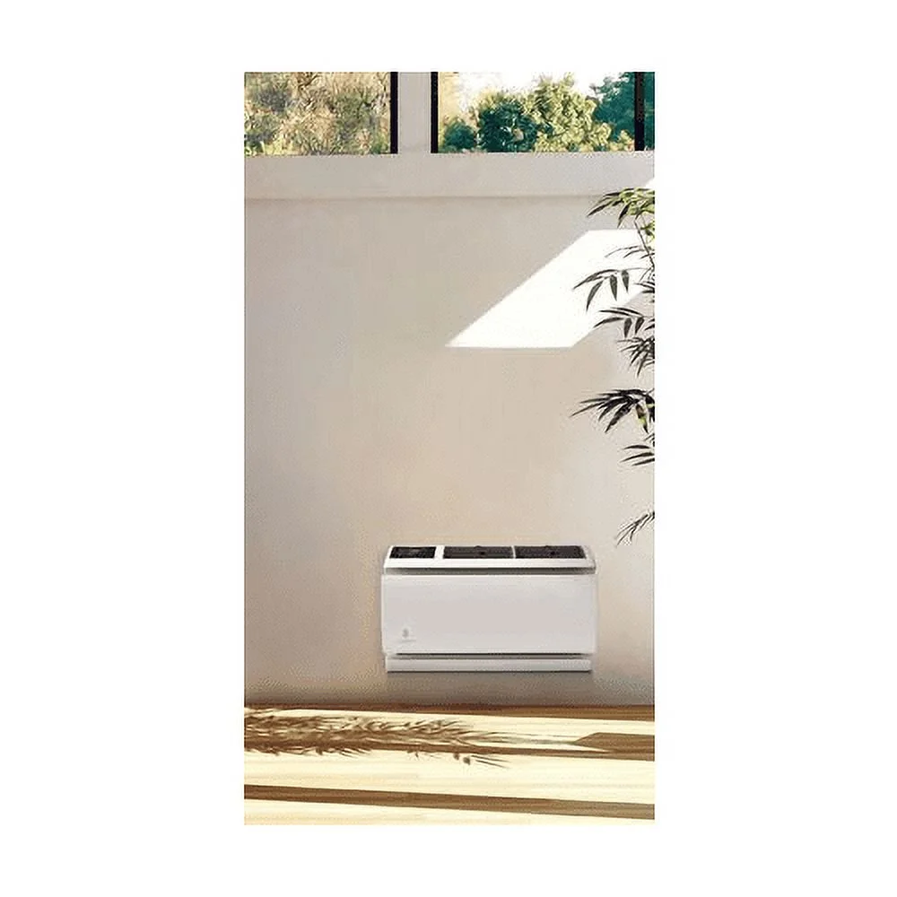 Friedrich Wct08a10a Wallmaster 8000 BTU 115 Volt Through Wall Air Conditioner - White