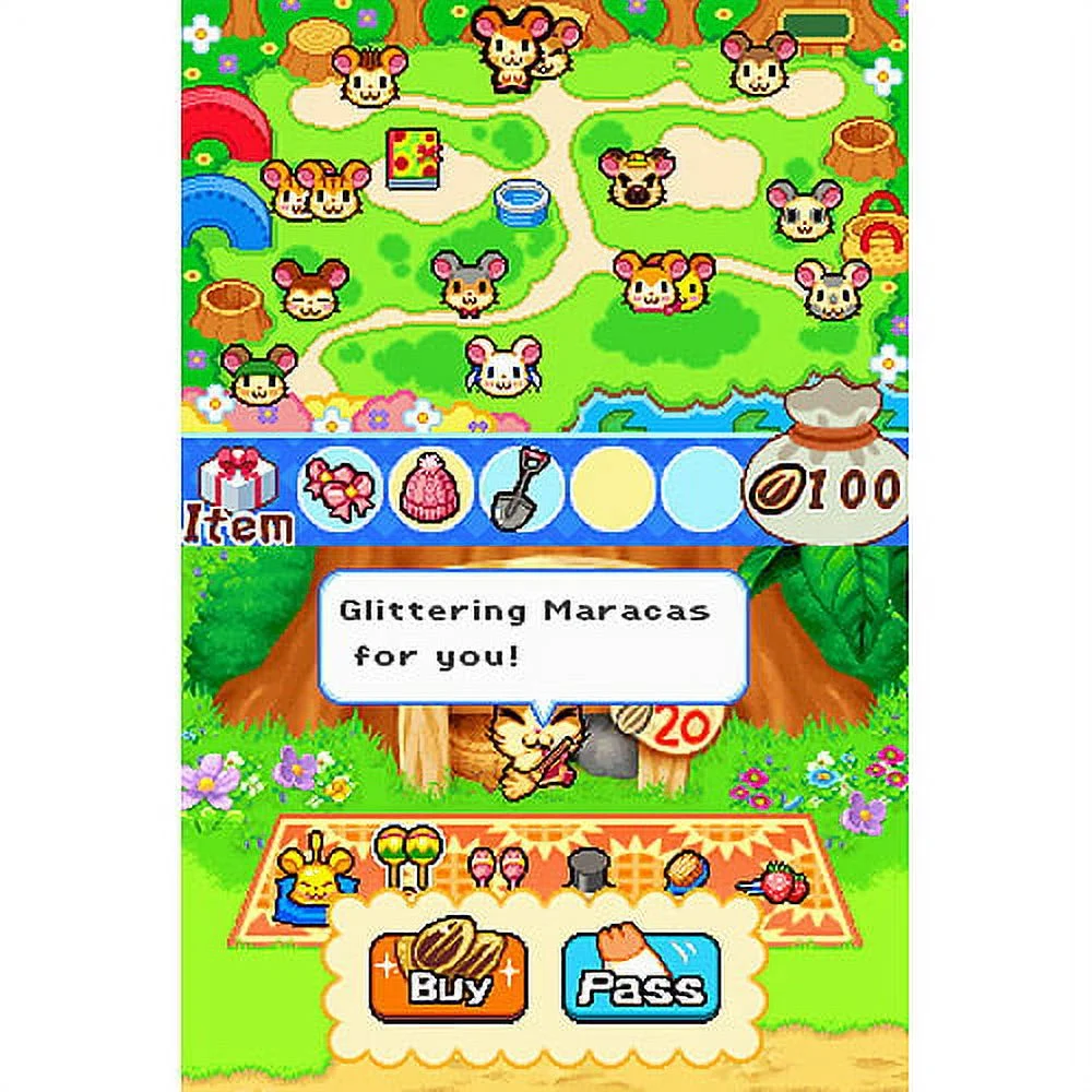 Hi Hamtaro Ham Ham Challenge NDS