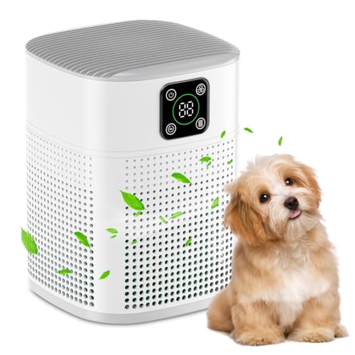 Air Purifiers for Bedroom, Honeyuan H13 HEPA Air Purifier for Home Large Room 600 sqft, Air purifiers with 360°Air Intake, 3 Fan Speeds, 3-Stage Filtration, White