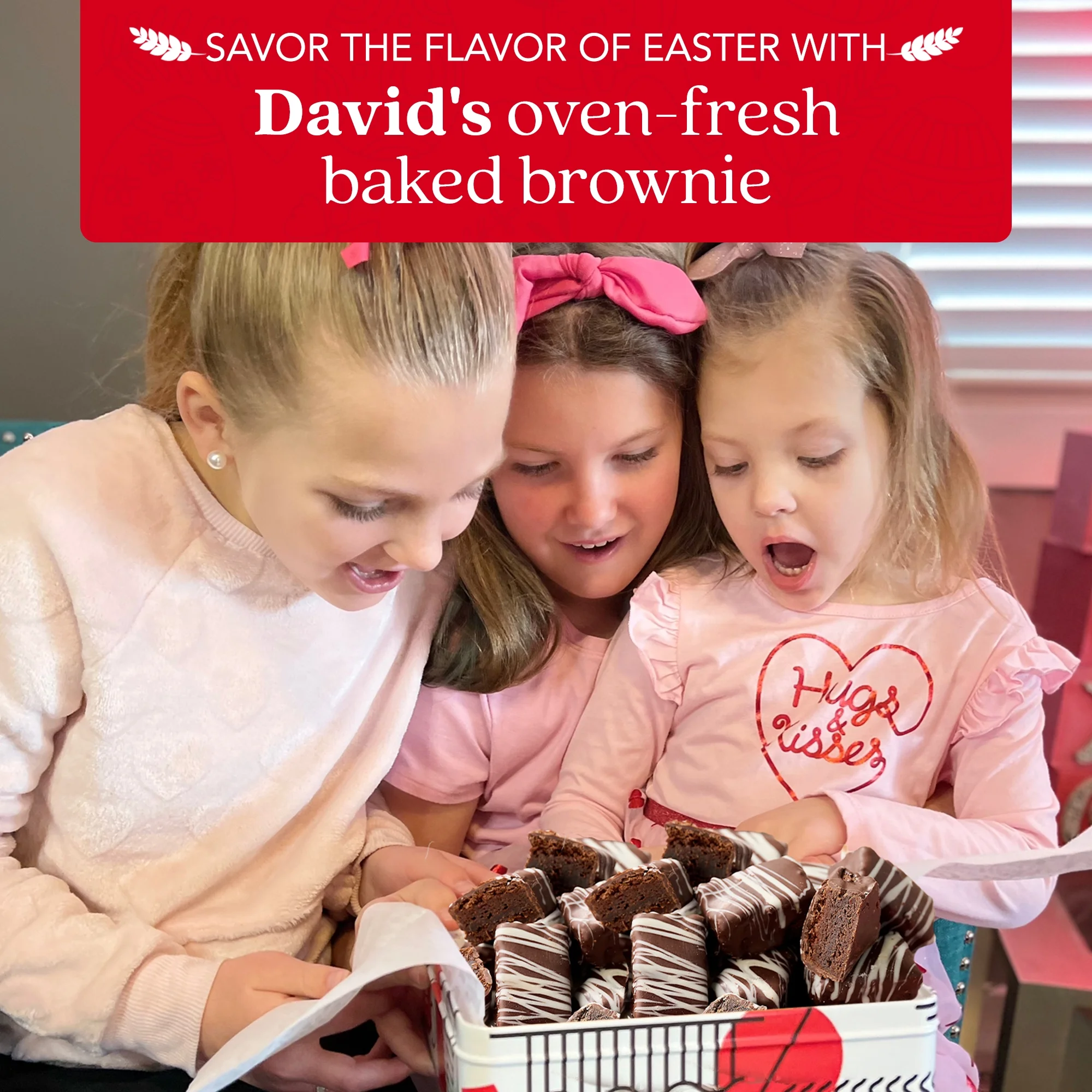 David’s Cookies Oven-Fresh Baked Brownie Bites – Delicious Decadent Dark Chocolate Glazed Mini Brownie In A Happy Easter-Themed Tin Gift Box – Individually Wrapped Gourmet Chocolate Brownies 16 Pcs