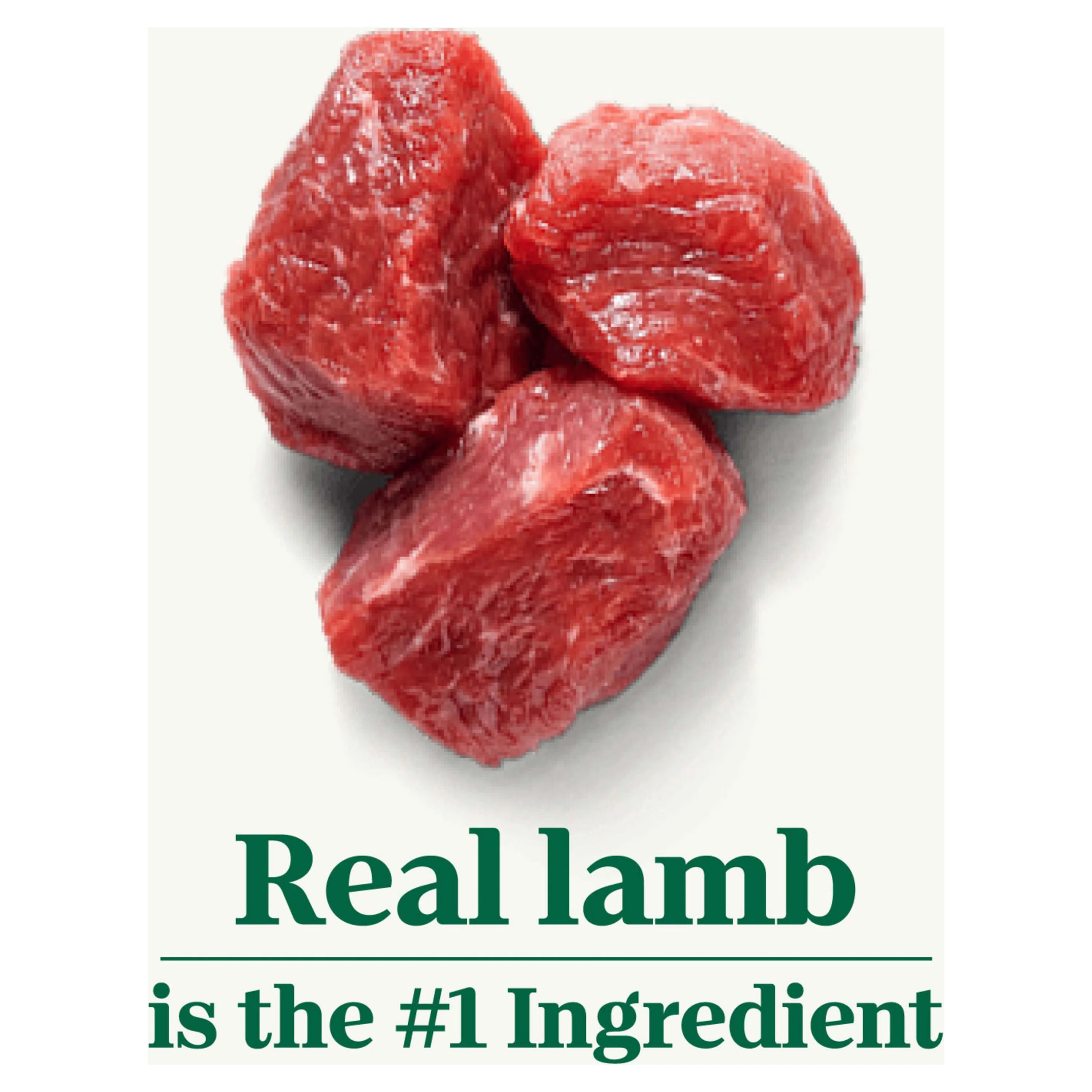 NUTRO NATURAL CHOICE Lamb & Brown Rice Recipe, Large Breed Adult Dry Dog Food, Dog Kibble, 20 lb. Bag