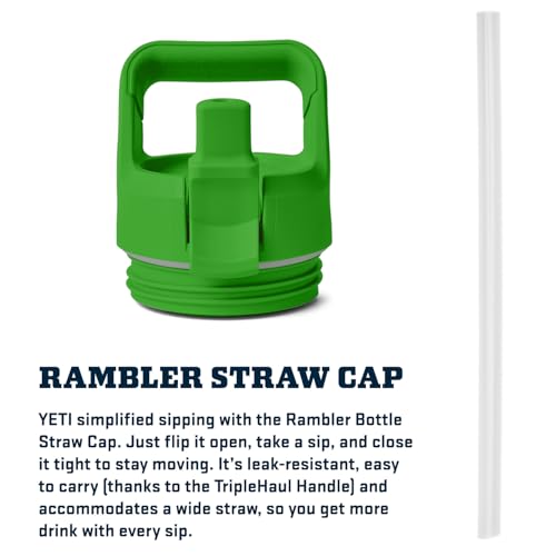 YETI Rambler 18 oz Bottle, Vacuum Insulated, Stainless Steel with Straw Cap, Beekeeper