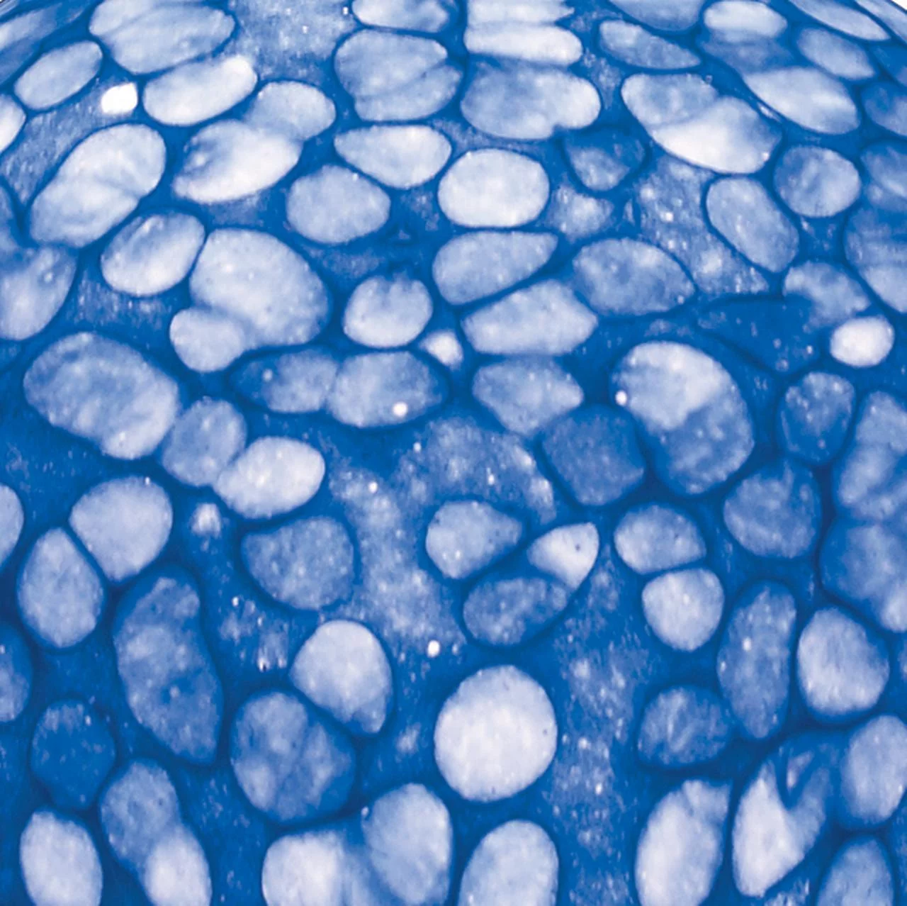 Elk Home 6-Inch Wide Cira Mini Pendant, Transitional, Satin Nickel