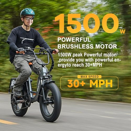 EUY Electric Bike for Adults with Peak 1500W Motor, 48V 20Ah Removable Battery Fast Ebike,Max 70Miles & 30MPH,20