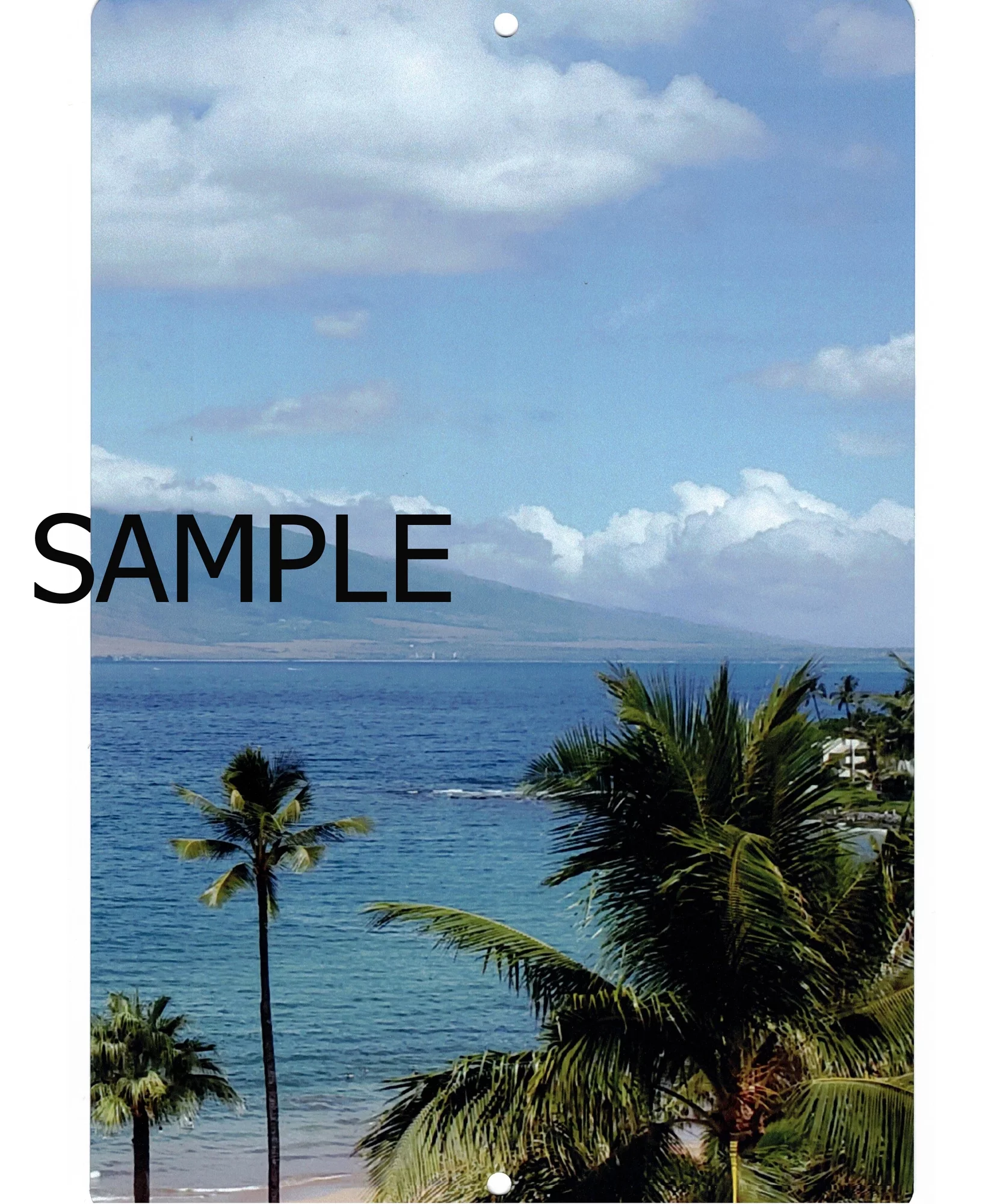 Angus Beef Chart Meat Cuts Diagram Poster Metal Print 12in x 16in Print on Metal 12x16 Square Adults Poster Time