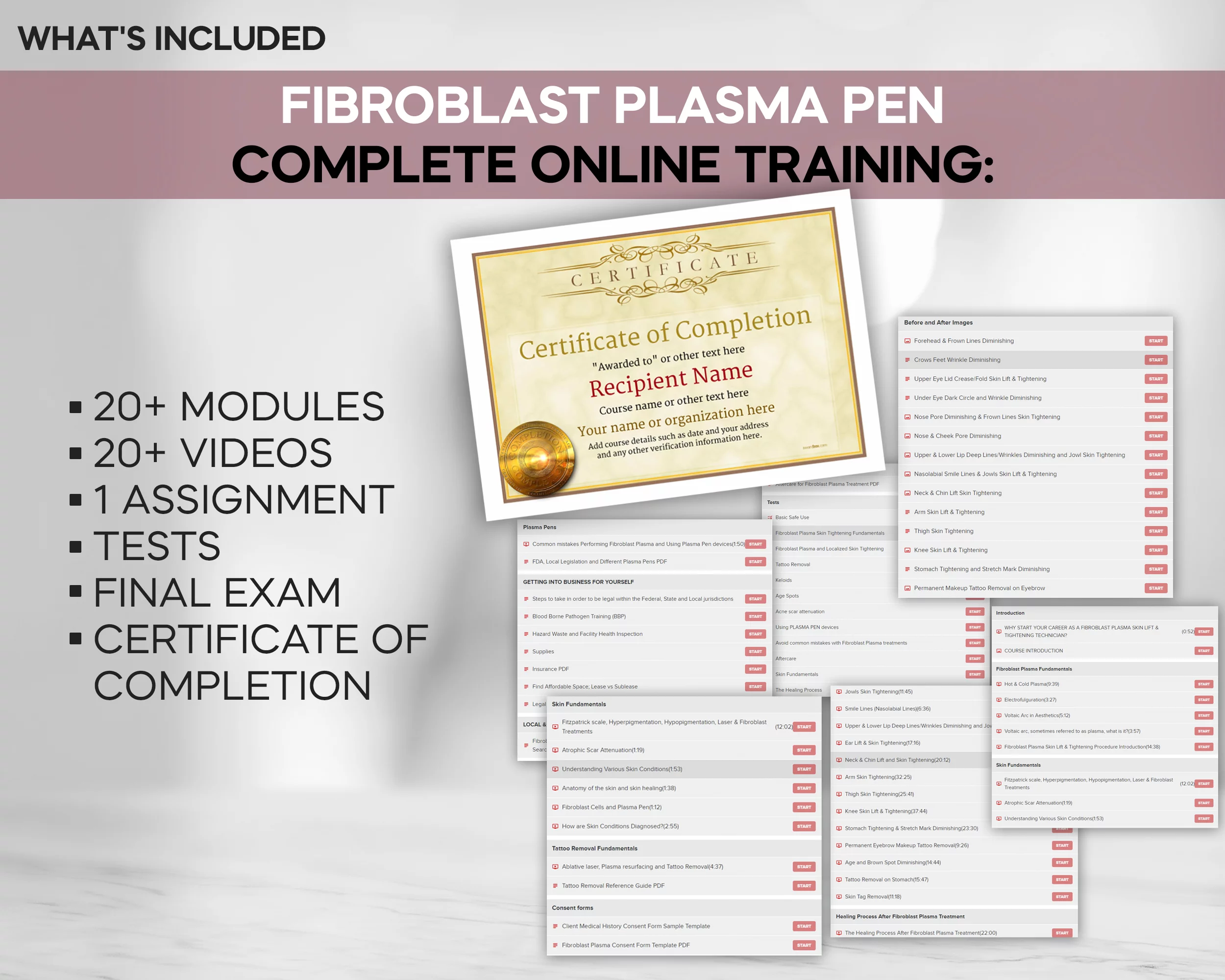 Create a Profitable Niche Business: Body Contouring Cellulite Treatment, Plasma Fibroblast, Job Skills, Training Bundle, USB [Online Activation Code]