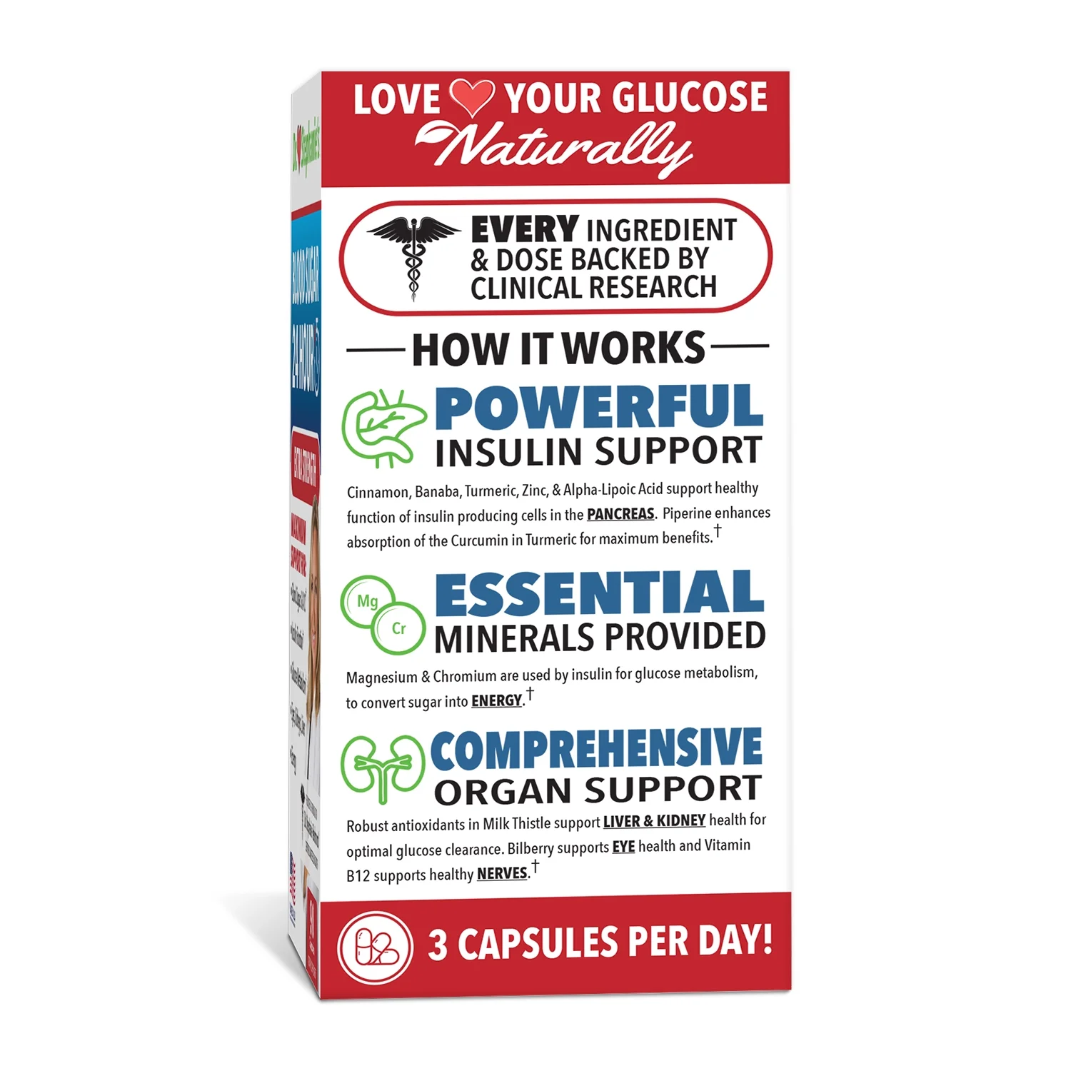 Dr. Stephanie's Blood Sugar Support 24 Hour Supplement - Extra-Strength Capsules for Pancreas Health