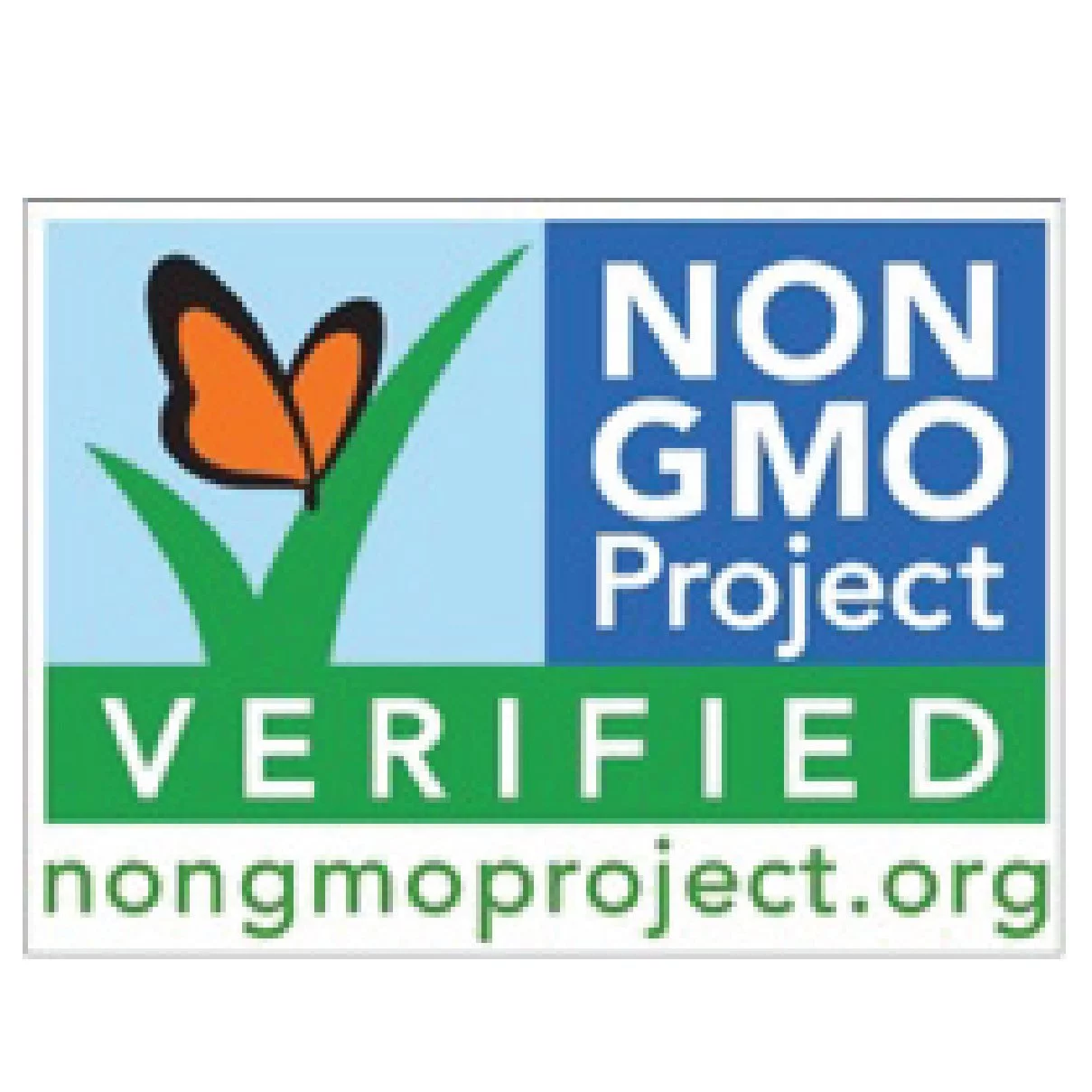 Colavita Aged Red Wine Vinegar 17 fl oz Pack of 3