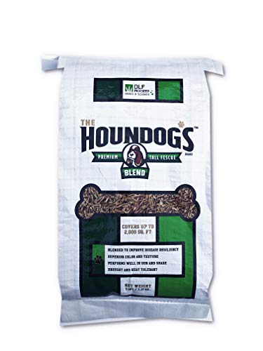 X-Seed Houndogs Tall Fescue Blend Grass Seed - Fast-Growing, Drought-Tolerant Seed for Full Sun & Partial Shade, Naturally Crowds Out Weeds, Ideal for High Traffic Areas & Lawn Repair, 5 lbs.