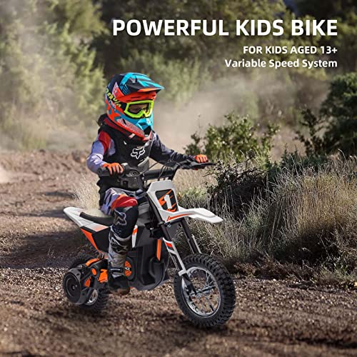 Kids Ride on Motorcycle,24V Electric Car for Kids,13.6MPH Max Electric Dirt Bike with Variable Speed,Mini Bike with Rear Wheel Suspension, Rear Wheel Disc Brake (24V, Blue)