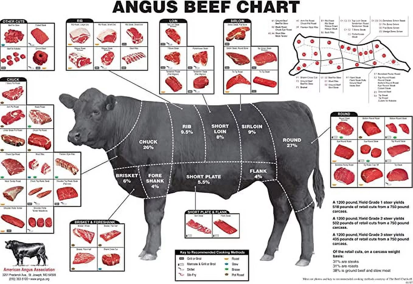 Iconic Arts Angus Beef Cuts Of Meat  Chart Poster 18x24