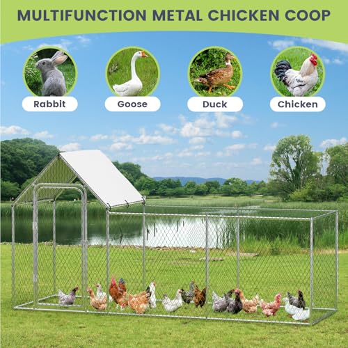 Large Metal Chicken Coop,9.8'Lx3.3'Wx5'H Heavy Duty Walkin Chicken Run with Waterproof and Anti-Uv Cover,Chicken Pens Outdoor with Top for Ducks,Rabbits,Peaked Roof Walk-in Poultry Cage for Yard,Farm