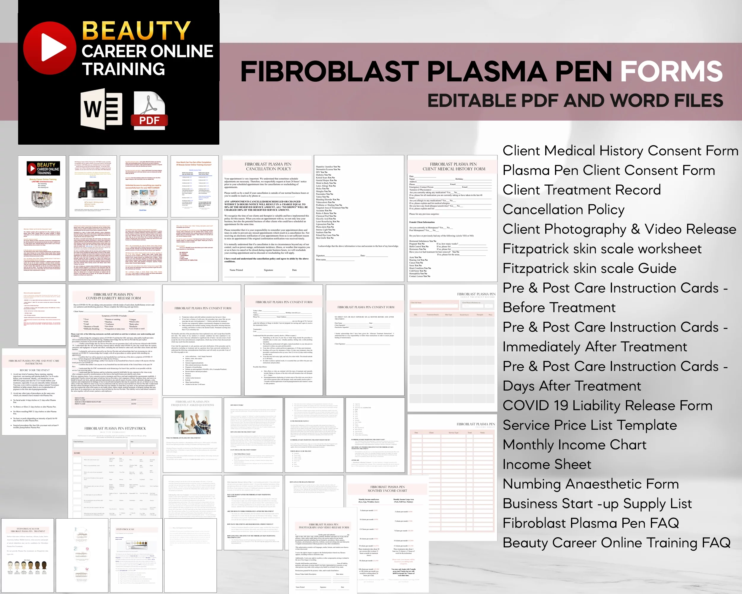 Create a Profitable Niche Business: Body Contouring Cellulite Treatment, Plasma Fibroblast, Job Skills, Training Bundle, USB [Online Activation Code]