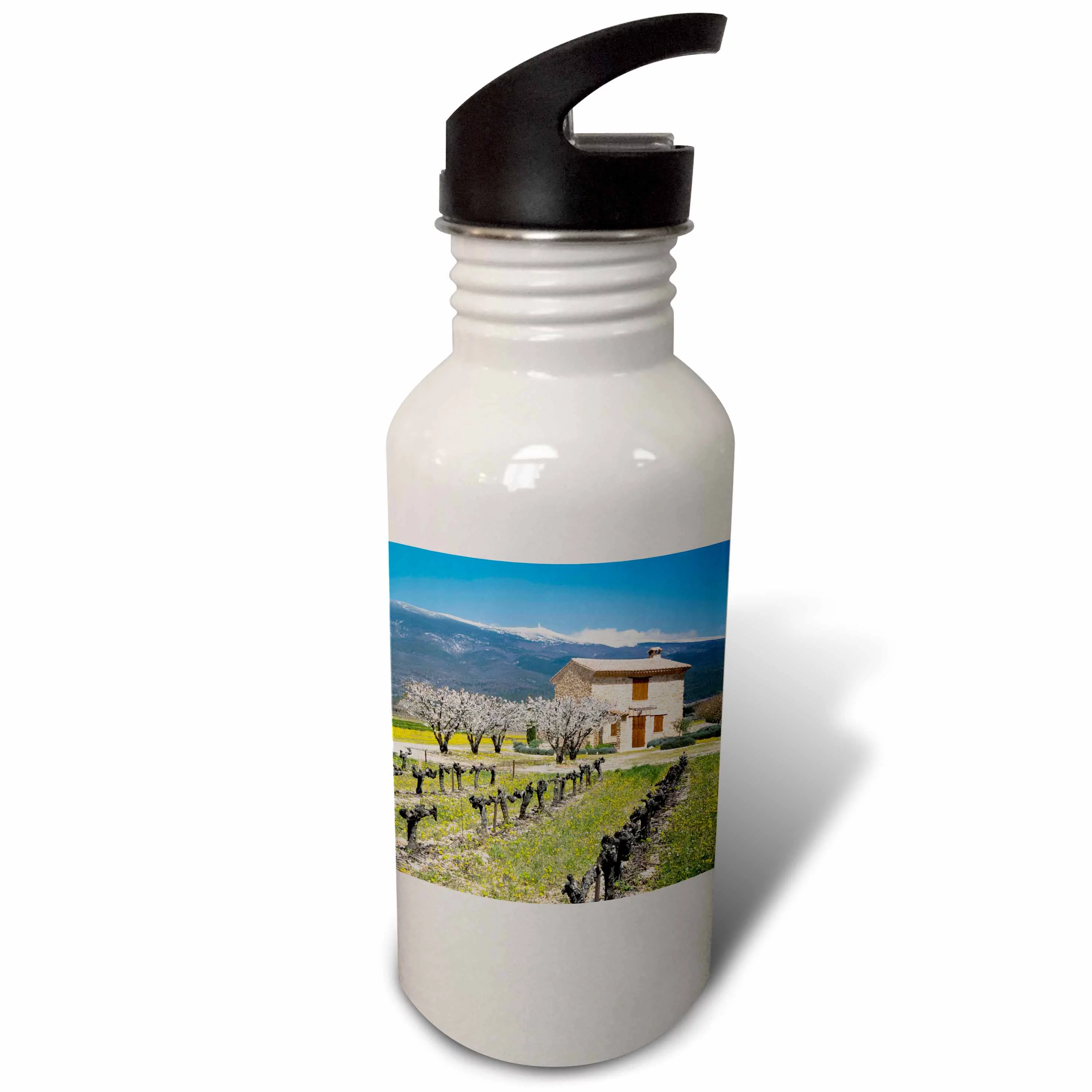 Vineyard, stone house, Mt Ventoux, Provence, France - EU09 DBN0623 - David Barnes 21 oz Sports Water Bottle wb-81438-1