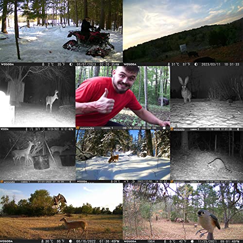 36MP 1920P Trail Camera, Game Camera with Night Vision Motion Activated 0.2s Trigger Time 120° Wide Sensor Hunting Deer Cam Waterproof with 2'' LCD for Outdoor Wildlife Monitoring