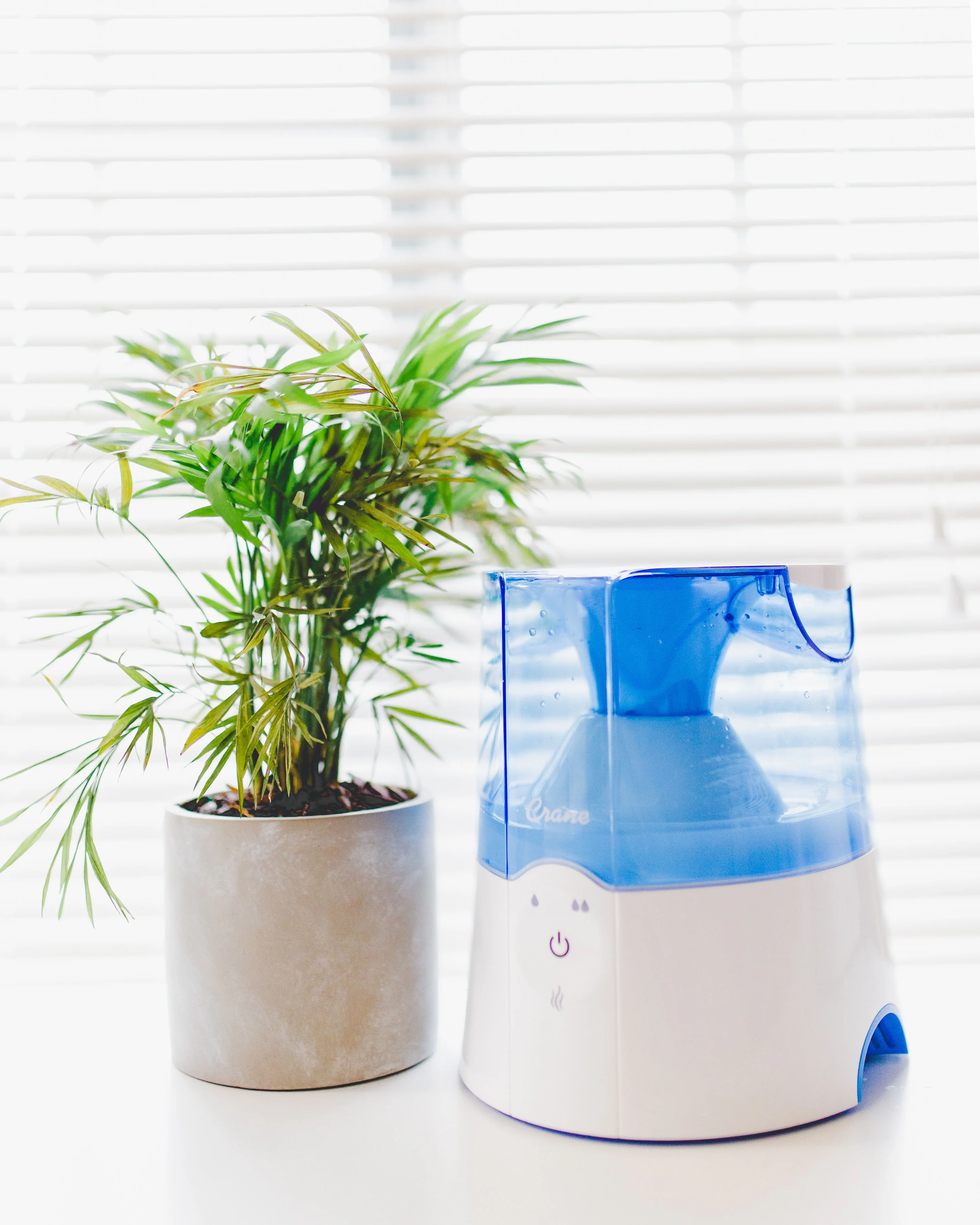 Crane 0.5 Gal. Warm Mist Humidifier, 2 Speed Settings, Medicine Cup, 13 Hour Run Time, Blue/White