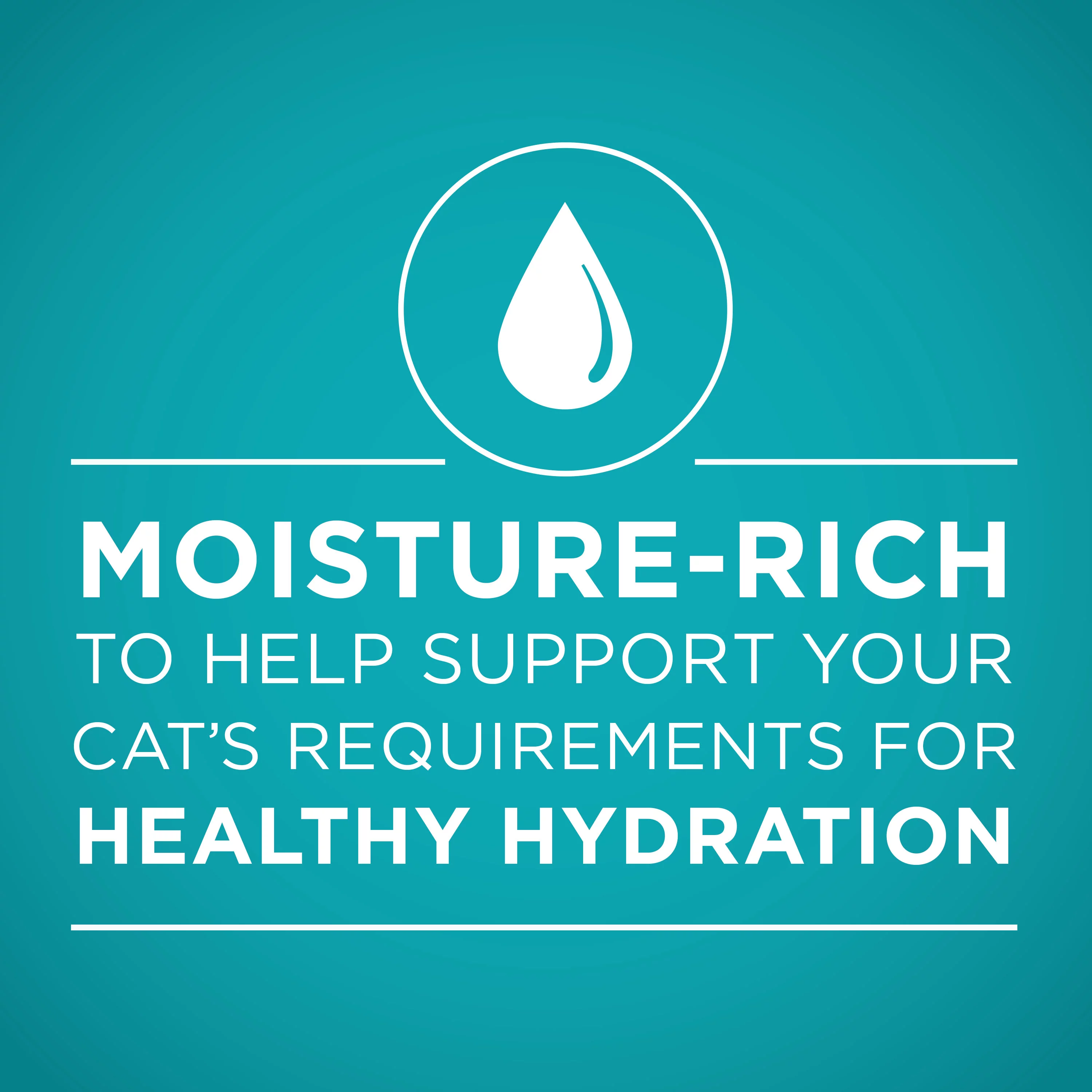 Purina ONE Grain Free Natural Pate Wet Cat Food Variety Pack Beef Chicken & Ocean Whitefish - (2 Packs of 12) 3 oz. Pull-Top Cans