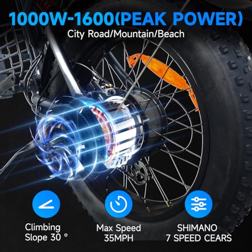 Retro Electric Bike for Adults,1000W-1600W(Peak Power) Electric Dirt Bike,35MPH 60Miles E Bikes Ridstar, 20