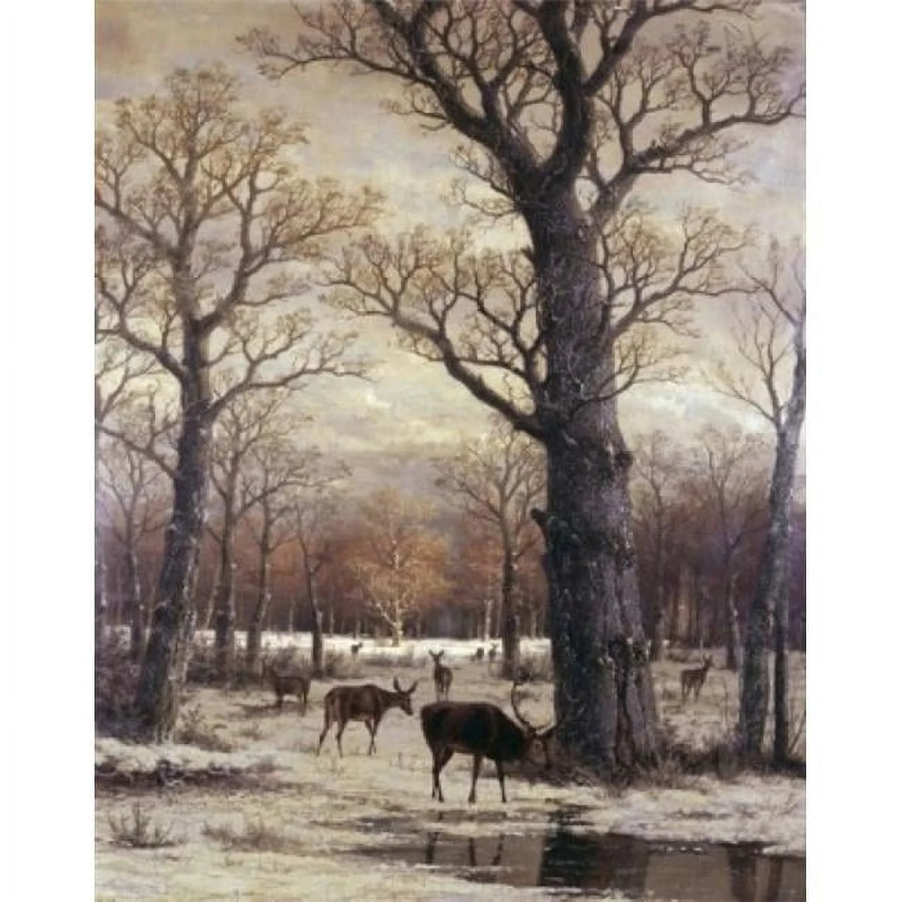 Deer Foraging Winter 19th C. Artist Unknown Poster Print - 18 x 24 in.