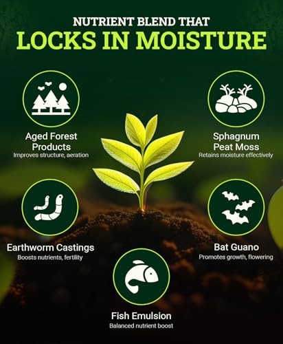 FoxFarm Ocean Forest Potting Soil, 12qt – Light, Aerated Texture, Designed for All Container Plants – pH Adjusted for Optimal Nutrient Uptake, Effectively Retains Moisture (12 Quart (1 Pack))