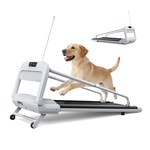 FYC 2025 New Quiet Dog Treadmill for Small, Medium & Select Large Dogs, 265lbs Capacity Pet Treadmill with 6° Incline, 2.5HP Ultra-Quiet Motor, Remote Control & Easy Storage