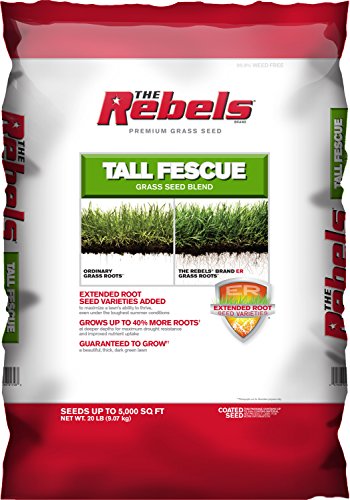 Pennington Rebel Tall Fescue Mixture Powder Coated Seed, 20 lb.