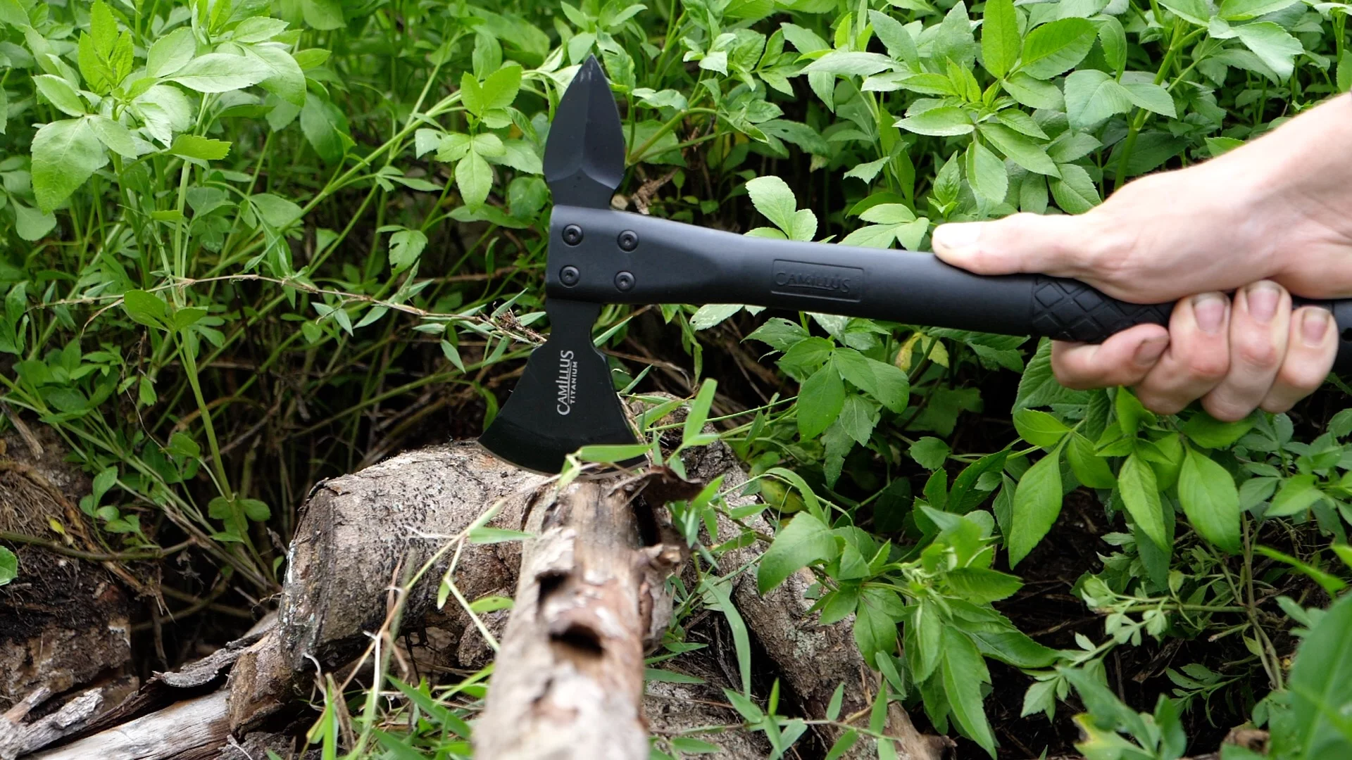 Camillus Ravenous, 13.5