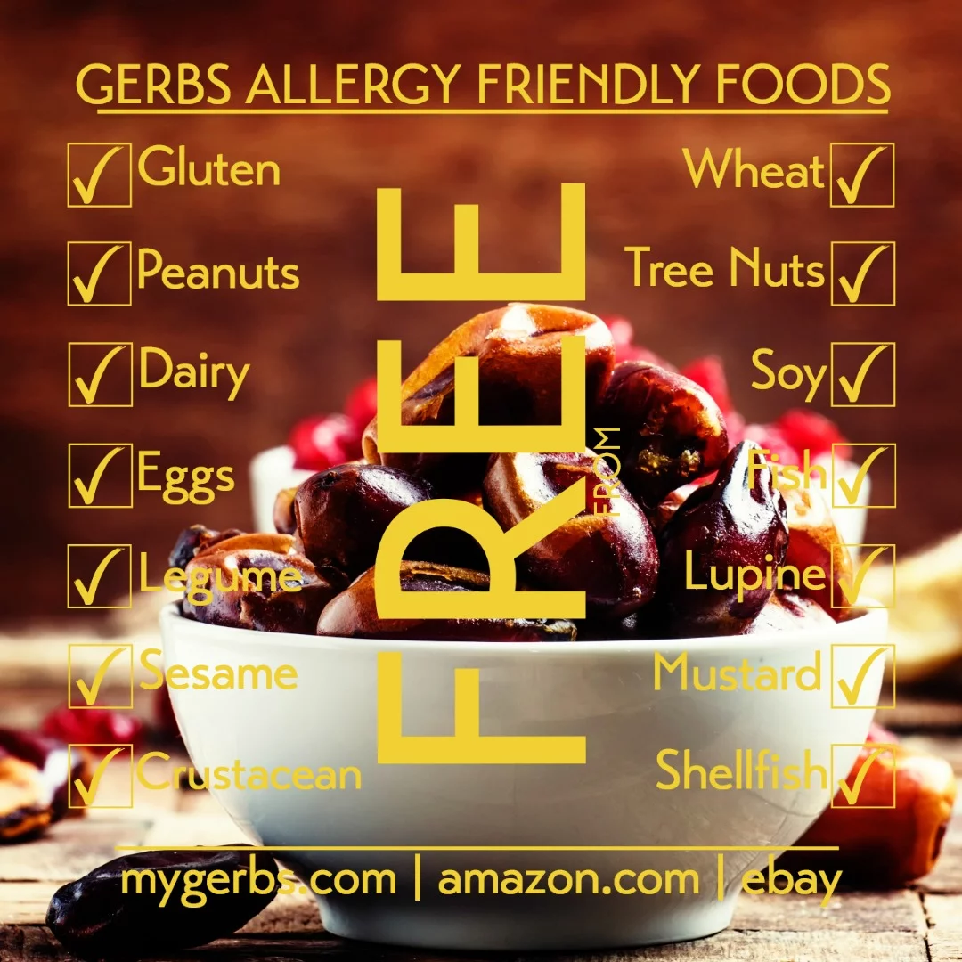 GERBS Dried Araya Dates 2 LBS. Pitted | Freshly Dehydrated Resealable Bulk Bag | Top Food Allergy Free | Sulfur Dioxide Free | High Fiber, Natural Sweetener & Antioxidant rich | Gluten & Peanut Free