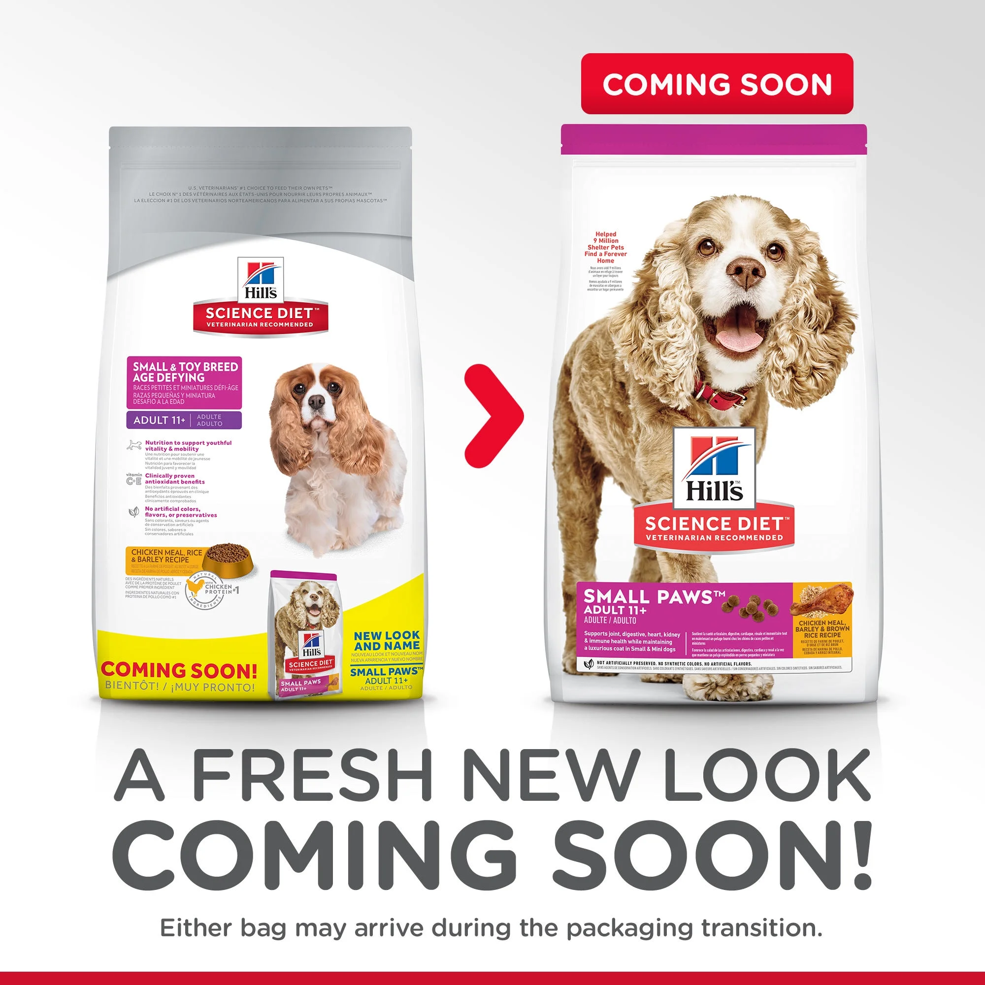 Hill's Science Diet Adult 11+ Small & Toy Breed Age Defying Chicken Meal Rice & Barley Recipe Dry Dog Food, 4.5 lb bag