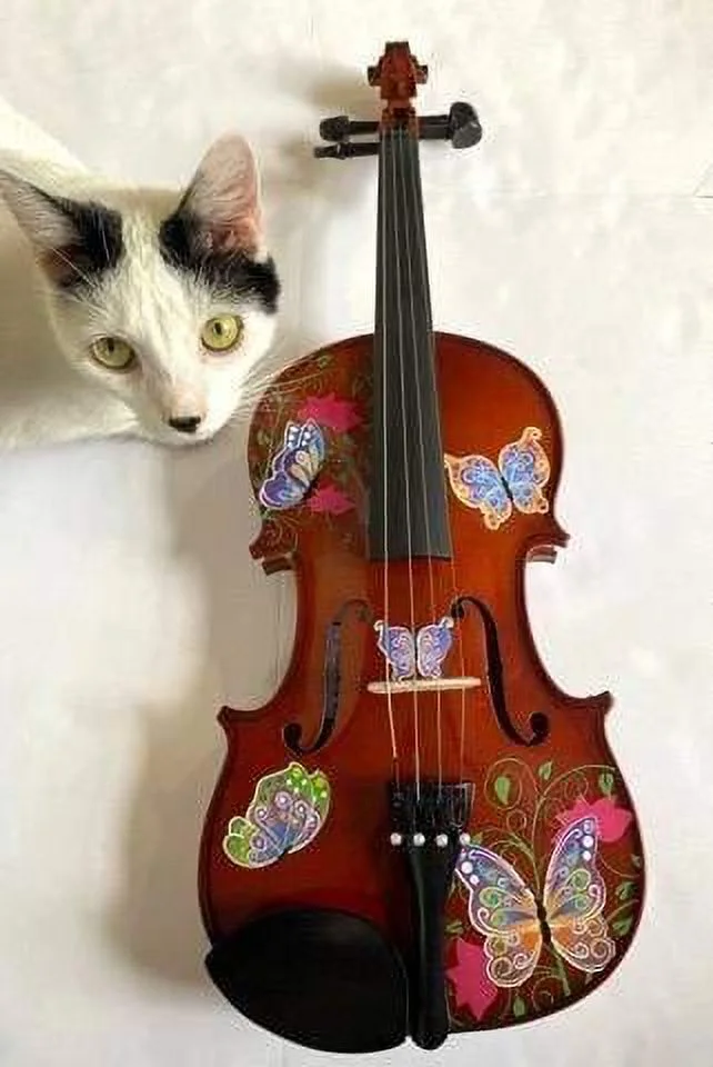 Rozanna's Butterfly Dream Viola Outfit