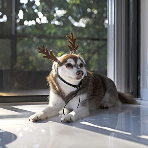 Midlee Furry Antlers Dog Headband