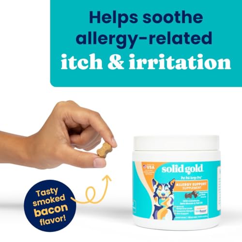 Solid Gold Dog Allergy Relief Chews - Dog Itching Skin Relief & Seasonal Allergies Support - Alaskan Salmon Oil for Dogs Skin, Coat & Immune Support - Bacon Flavor Soft Allergy Chews for Dogs -120ct
