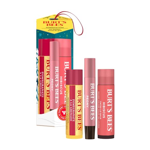 Burt's Bees Christmas Gifts, 4 Lip Balms Stocking Stuffers Products, Beeswax Bounty Fruit Mix - Watermelon, Pomegranate, Dragonfruit Lemon & Sweet Peach (4-Pack)