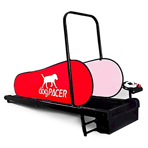 91641 LF 3.1 Full Size Dog Pacer Treadmill, Black and Red